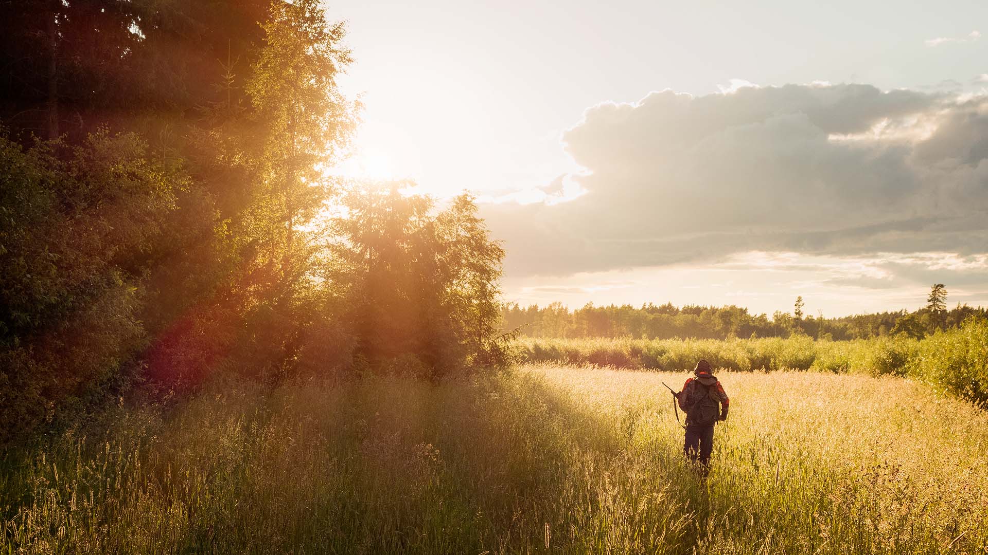 Hunter on a field.