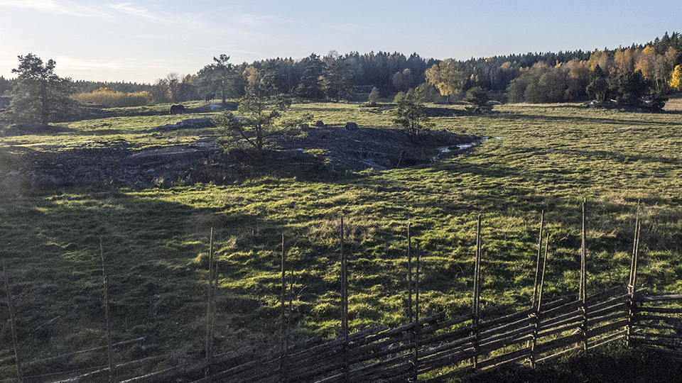 Betesmark/utmark, Tyresta.