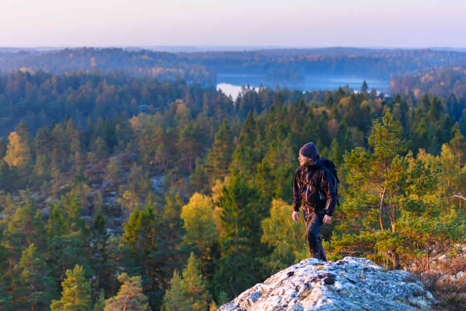 Man på sten som blickar ut över skog