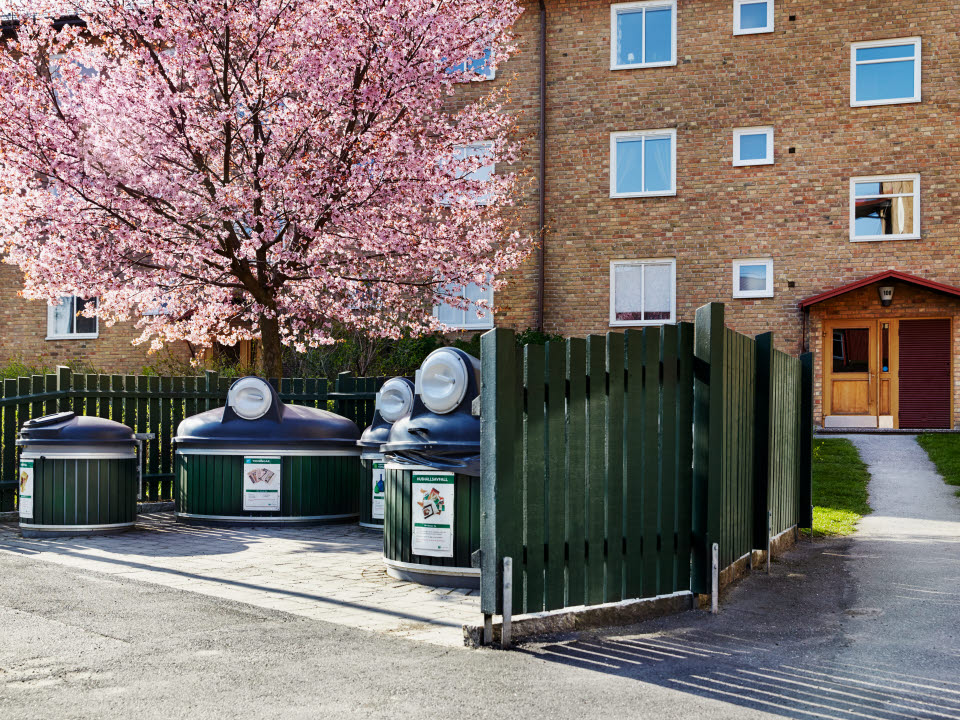 Plats för sopsortering av hushållssopor. Ett stort blommande körsbärsträd syns i bakgrunden, Stockholm