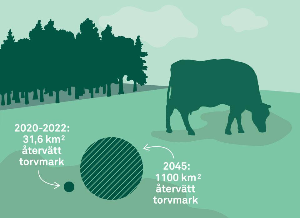 resultat-torvmark-2022-960x700.jpg