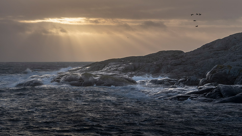 Klippig kust vid havet