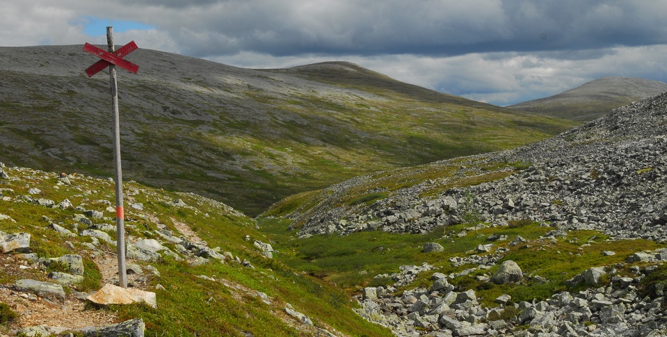 Fjället med ledkryss