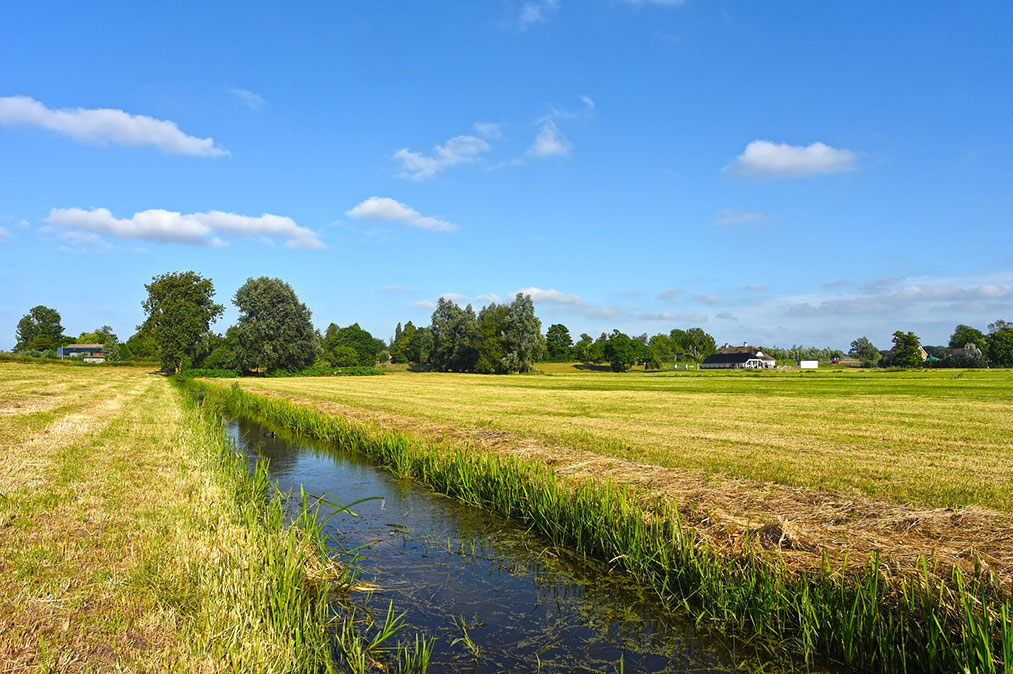 Dike mellan åkrar. Foto: Pixabay