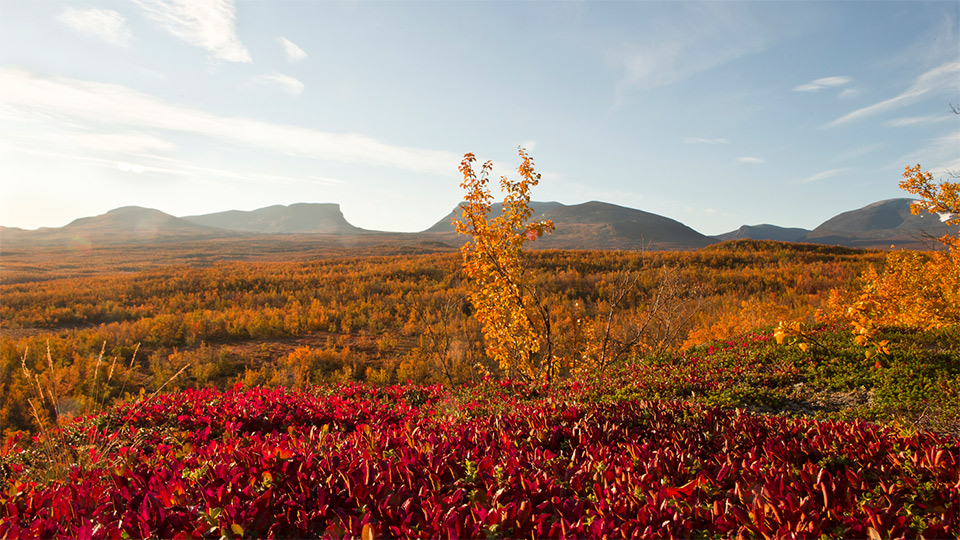 Landskap Abisko