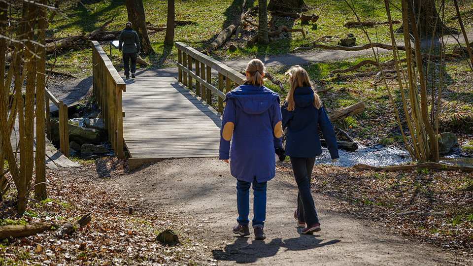 Promenad i Dalby Söderskog