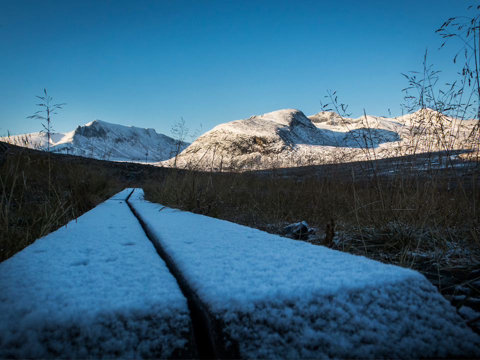 Spång i fjällandskap