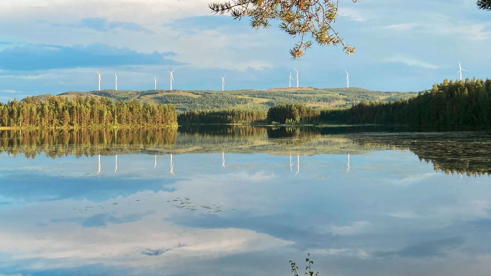 Vindkraftverk i norra Sverige.