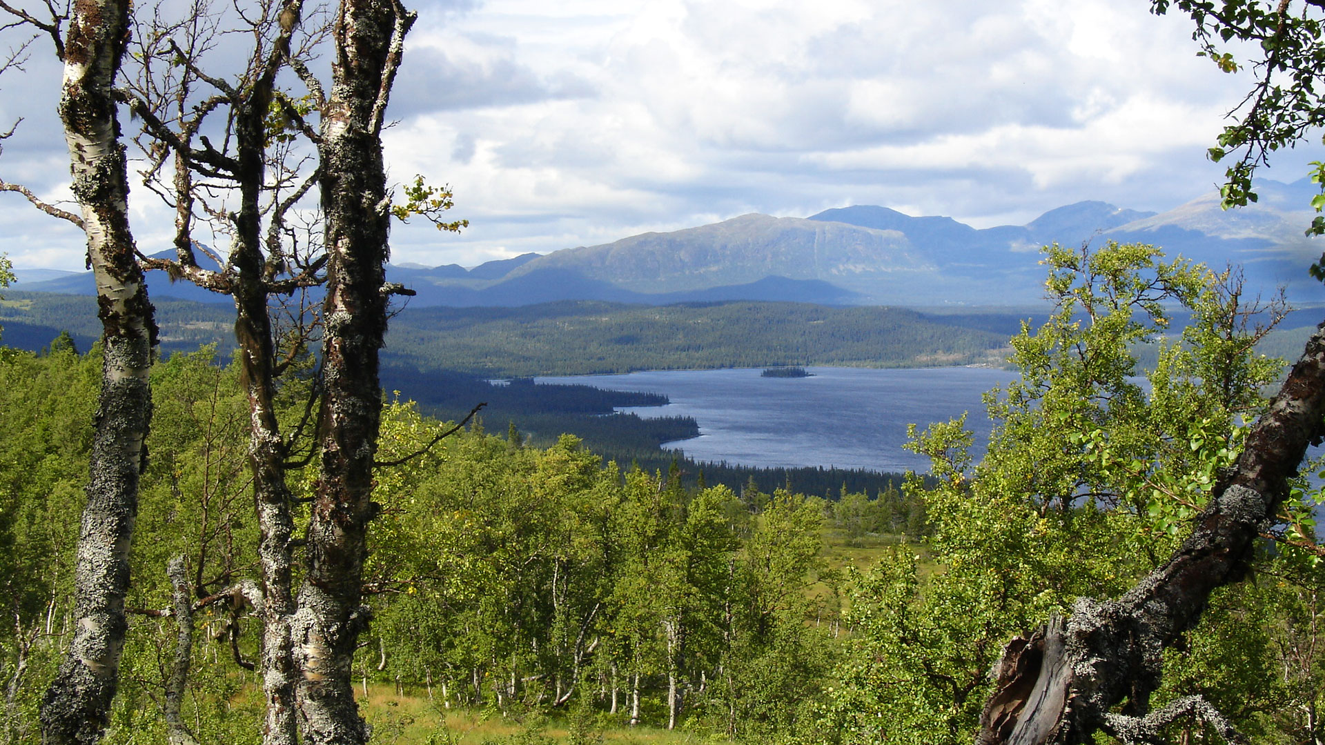 Marsfjällsmassivet Västerbotten