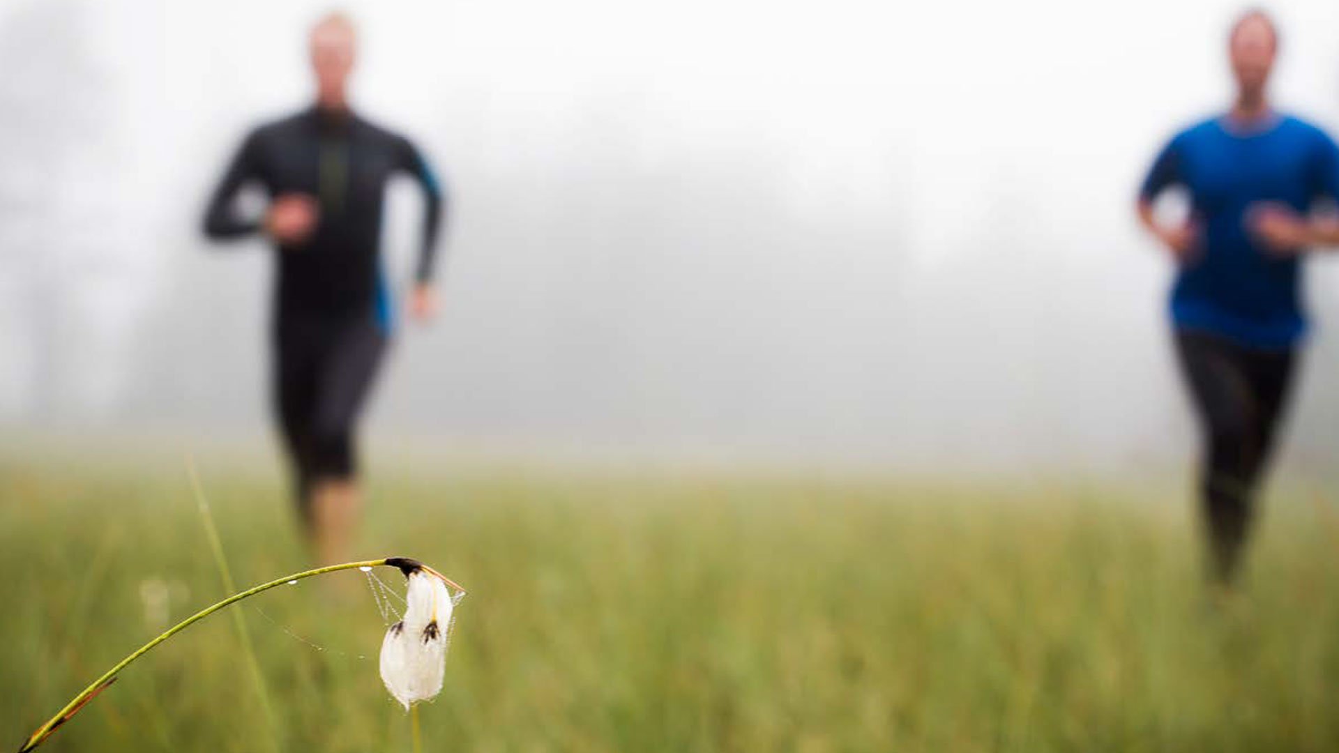 Två joggare på äng.